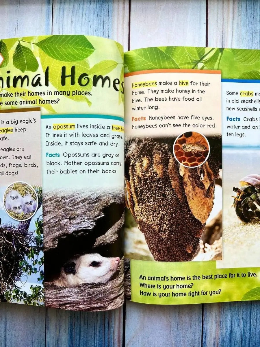 Educational book about animal homes with images and text on a wooden surface