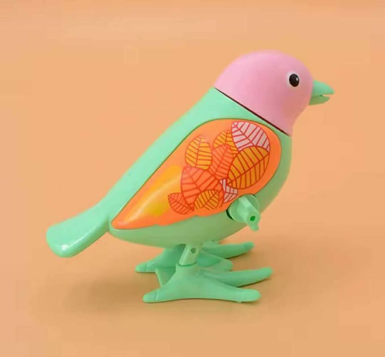 Walking BIrd Toy For Children Perfect for Favors