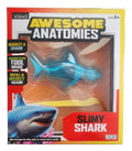 Box of 'Awesome Anatomies' slimy shark toy with shark illustration and text on a white background