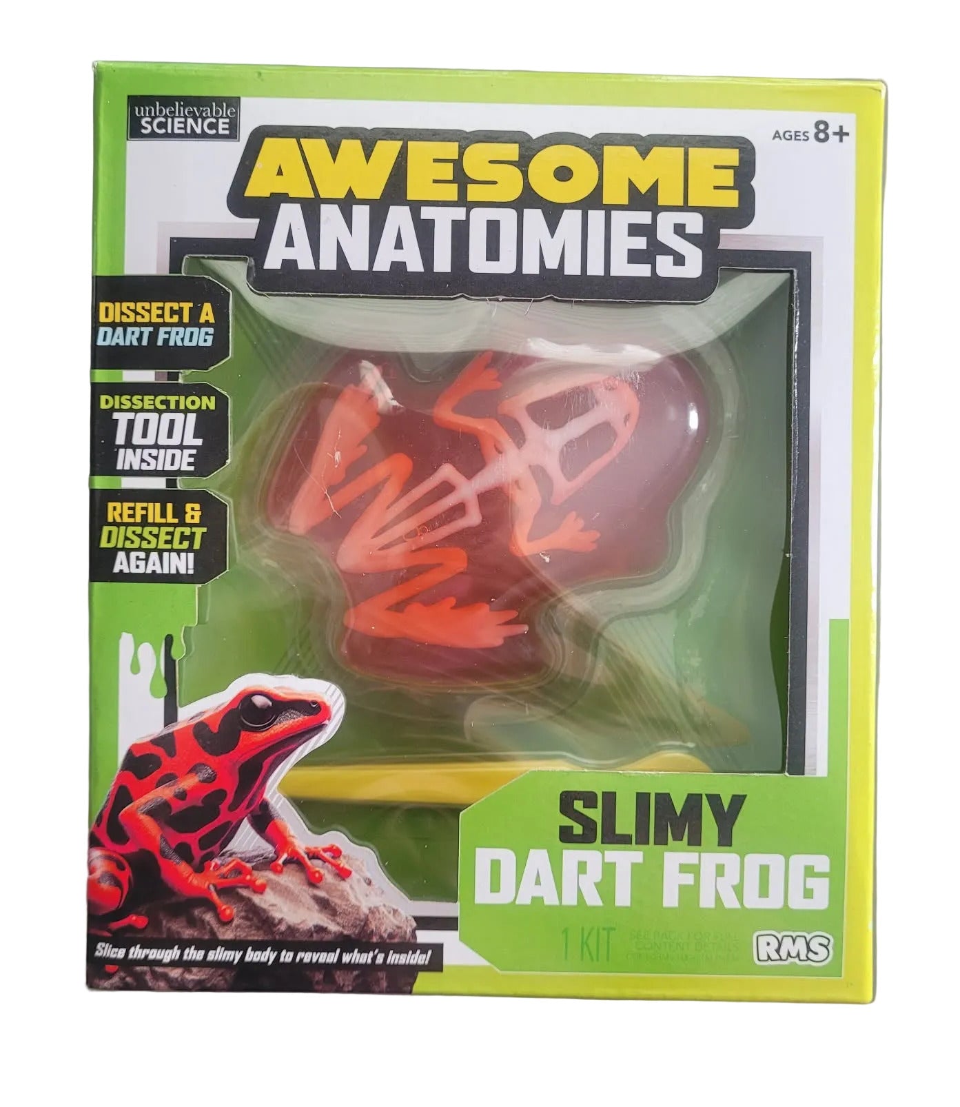 Package of 'Awesome Anatomies' slimy dart frog toy with skeleton model and frog illustration.