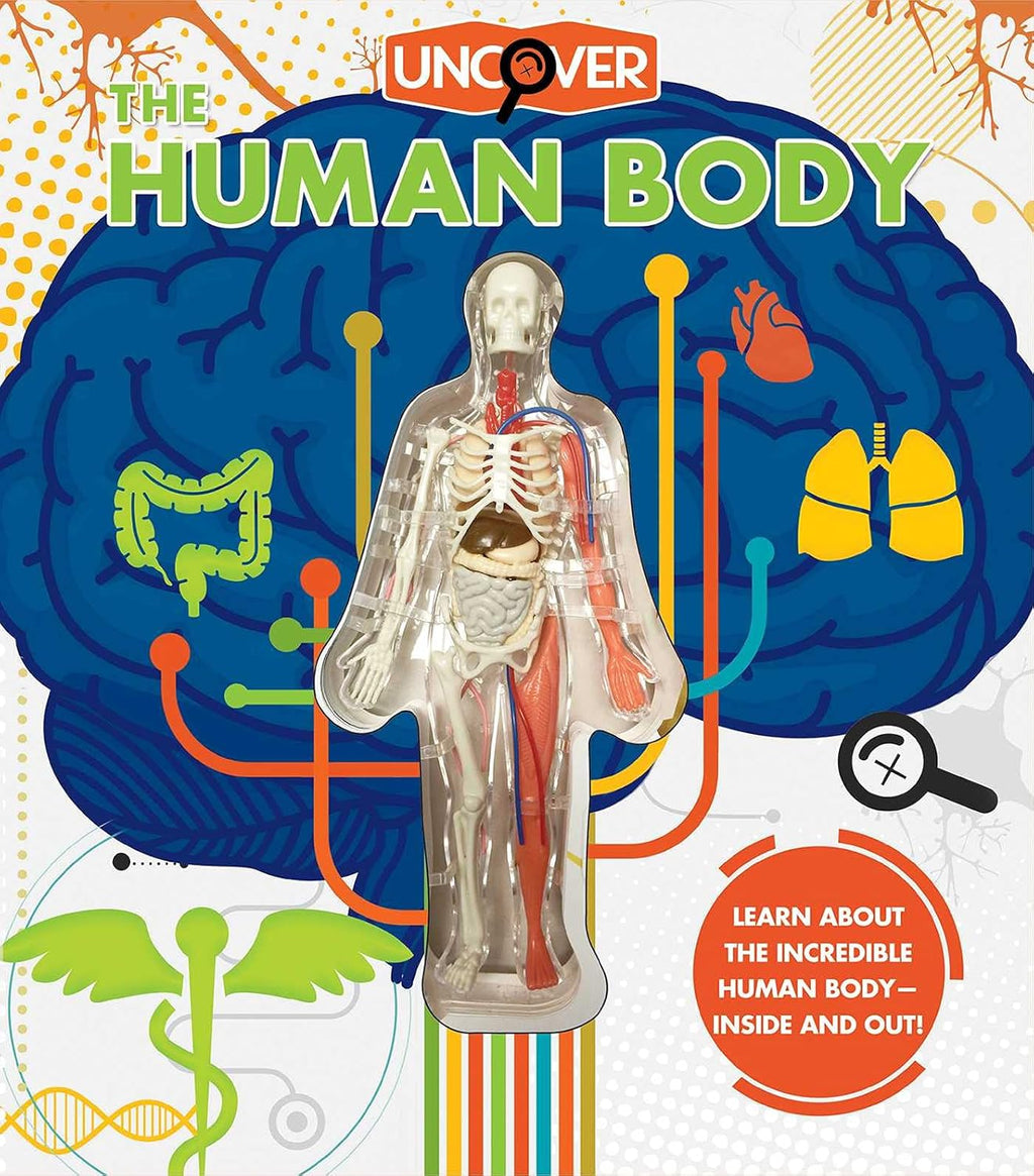 Book cover of 'The Human Body' with a transparent model of a human body and various body parts on a colorful background.