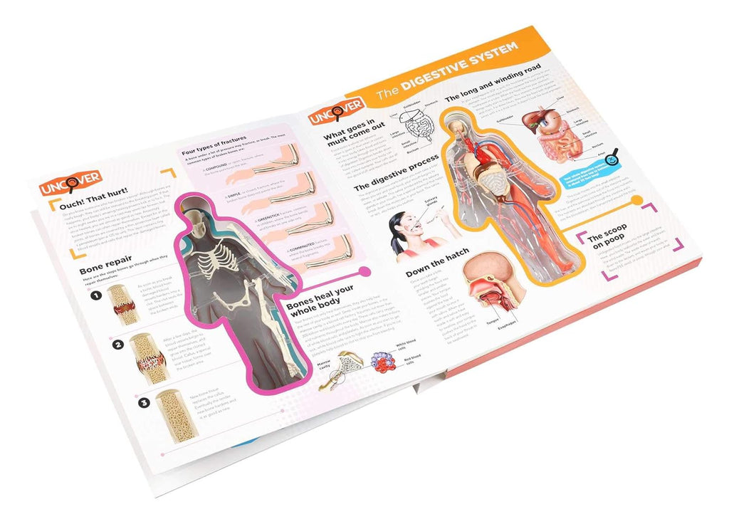 Educational book open to a page about the digestive system with illustrations and text.