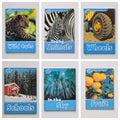 Six children's educational book covers arranged in a 2x3 grid on a light gray background. The titles visible are Wild Cats, Young Animals, Wheels, Schools, In the Sky, and Fruit.