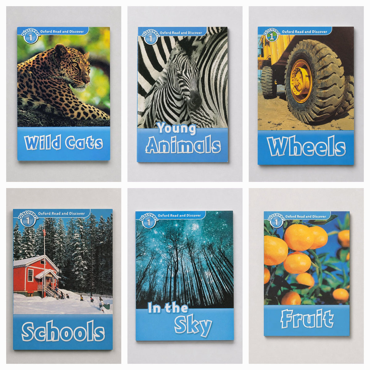 Six children's educational book covers arranged in a 2x3 grid on a light gray background. The titles visible are Wild Cats, Young Animals, Wheels, Schools, In the Sky, and Fruit.