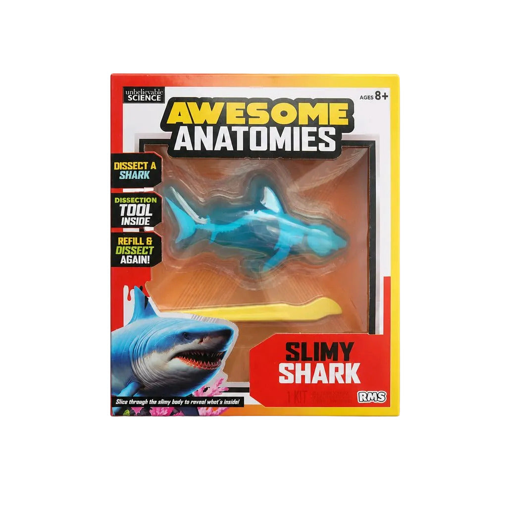 Awesome Anatomies Slimy Shark Stem Kit