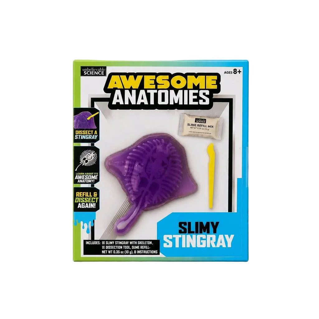 Awesome Anatomies Slimy Stingray Stem for Play