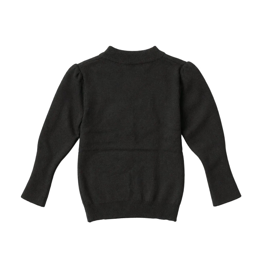 A dark charcoal gray knit sweater with long sleeves and a crew neck, shown from the back on a light gray textured background.