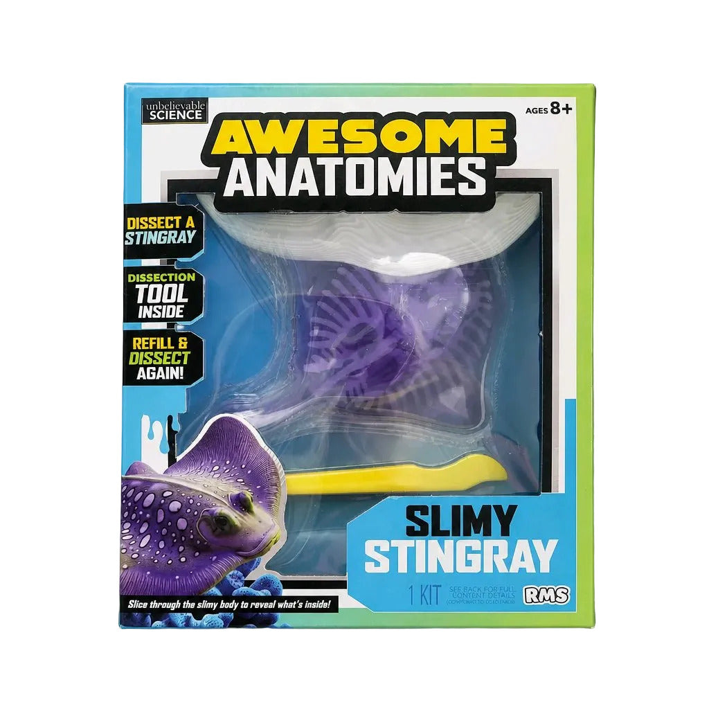 Awesome Anatomies Slimy Stingray Stem for Play