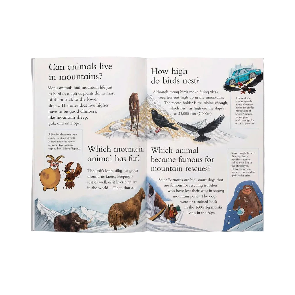 An open children's educational book spread showing illustrated pages about mountain animals, with questions like 'Can animals live in mountains?' and 'How do birds nest?' on a light gray background.