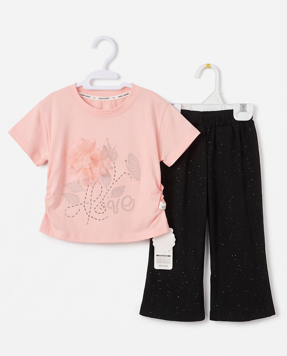 Adorable pink Pearl with Rhinestone Top with Sparkly Pants