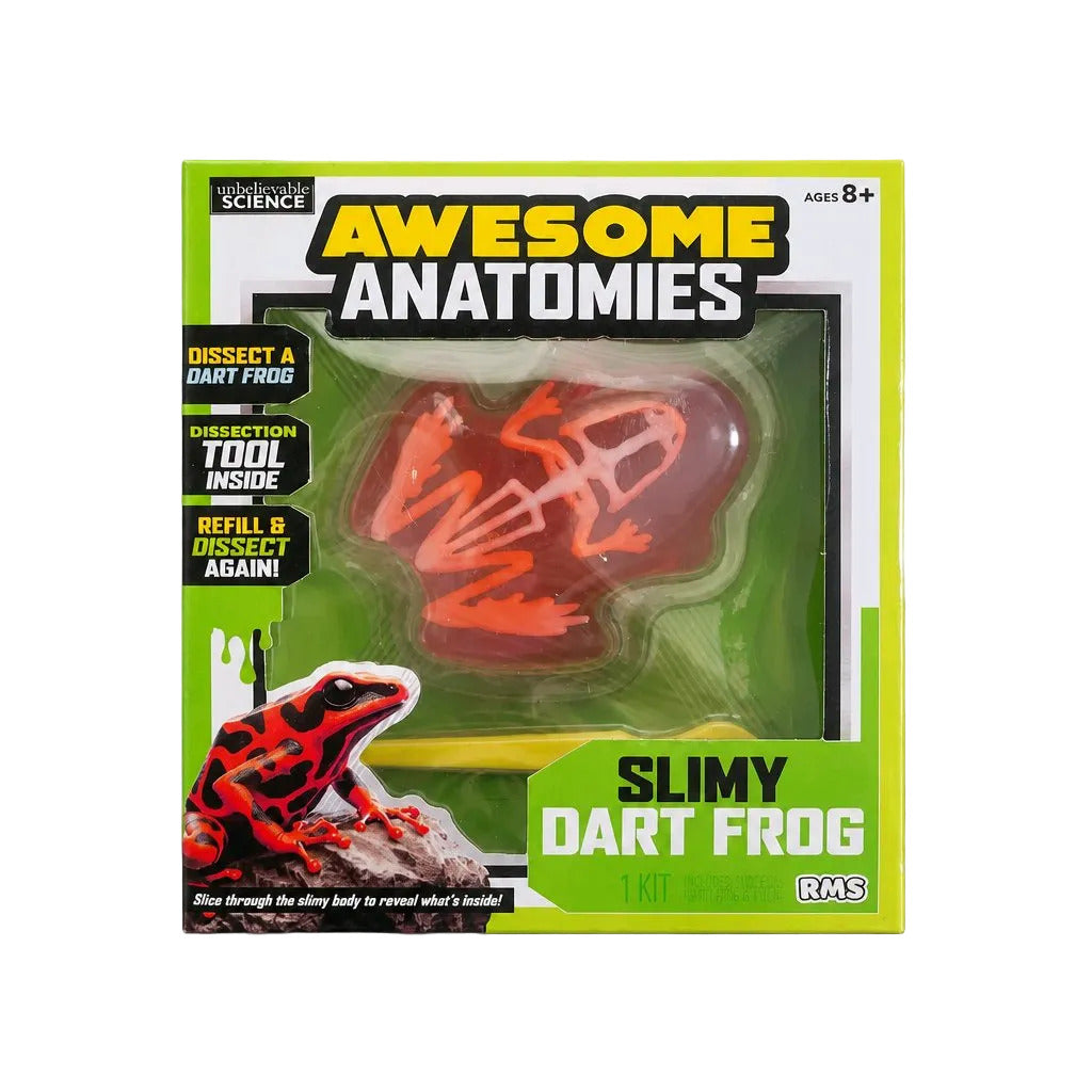 Awesome Anatomies Slimy Dart Frog STEM Kit Fun