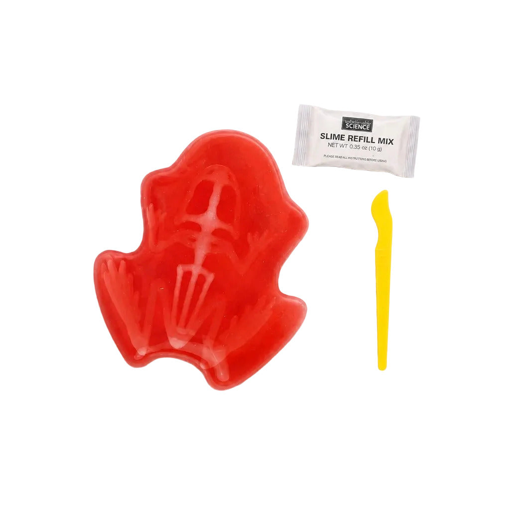 Awesome Anatomies Slimy Dart Frog STEM Kit Fun